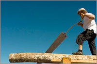 Palgi saagimine Sõrul