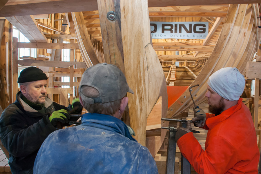 20130211-halulaev-191.jpg - Plangutamine. 11.02.2013. Foto Mart Mõniste