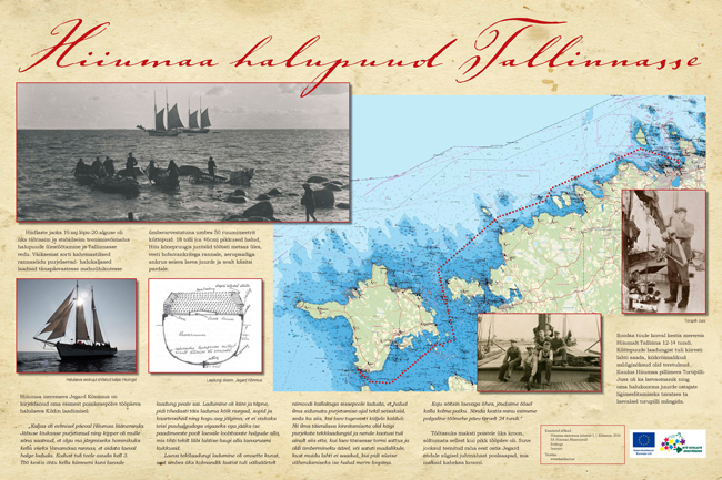 Hiiumaa halupuud Tallinnasse